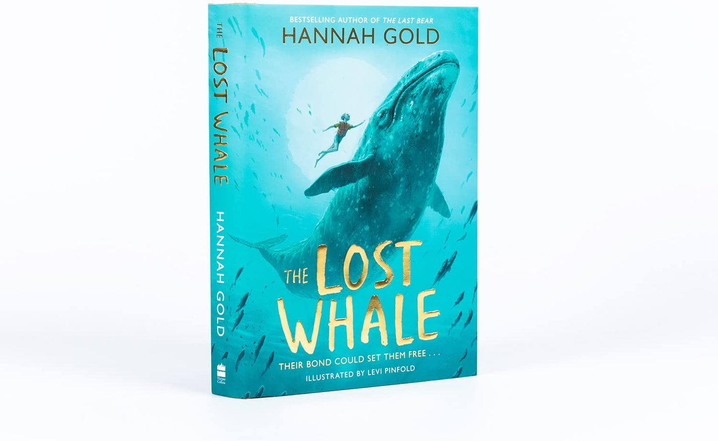 The Lost Whale
