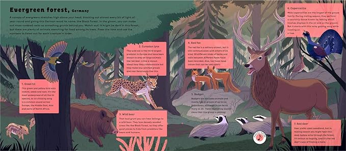 Sounds of Nature: World of Forests: Press Each Note to Hear Animal Sounds