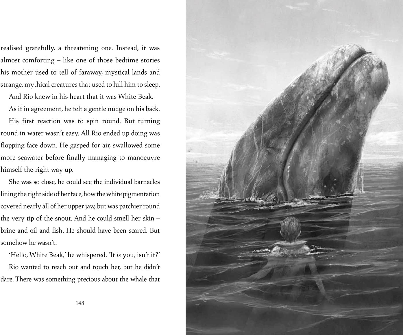 The Lost Whale