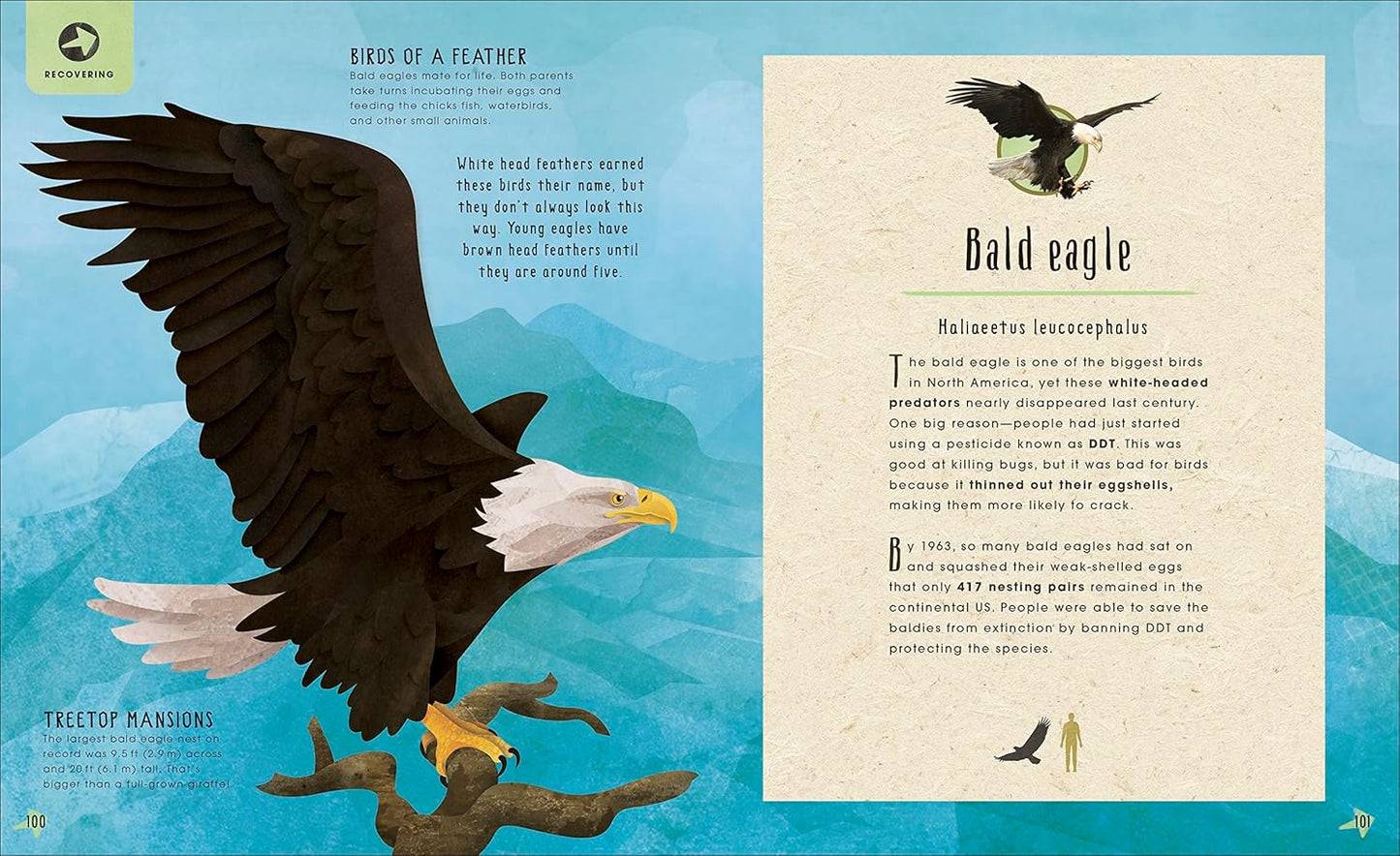 Animals Lost and Found: Stories of Extinction, Conservation and Survival