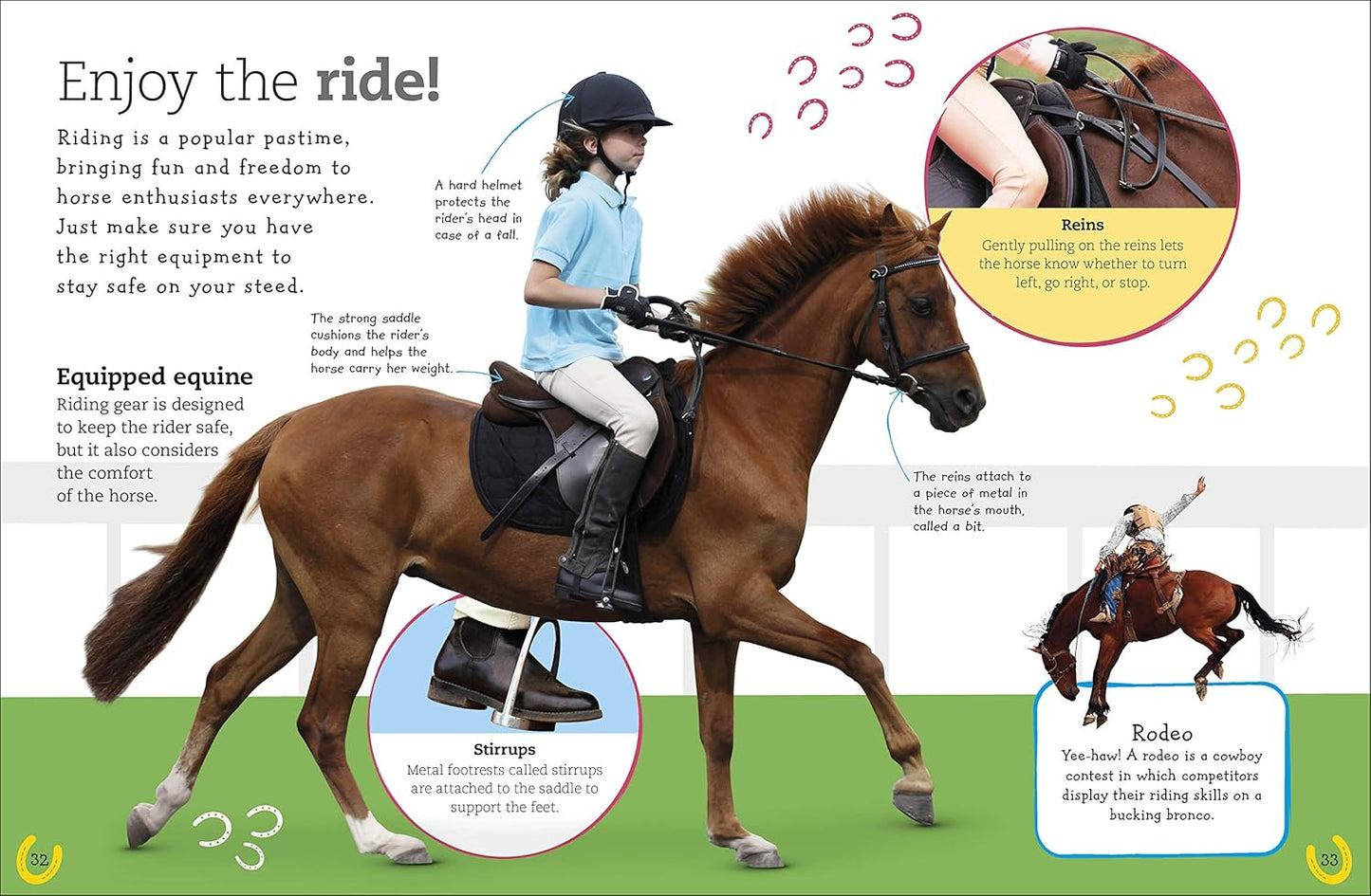 The Everything Book of Horses and Ponies (Everything About Pets)
