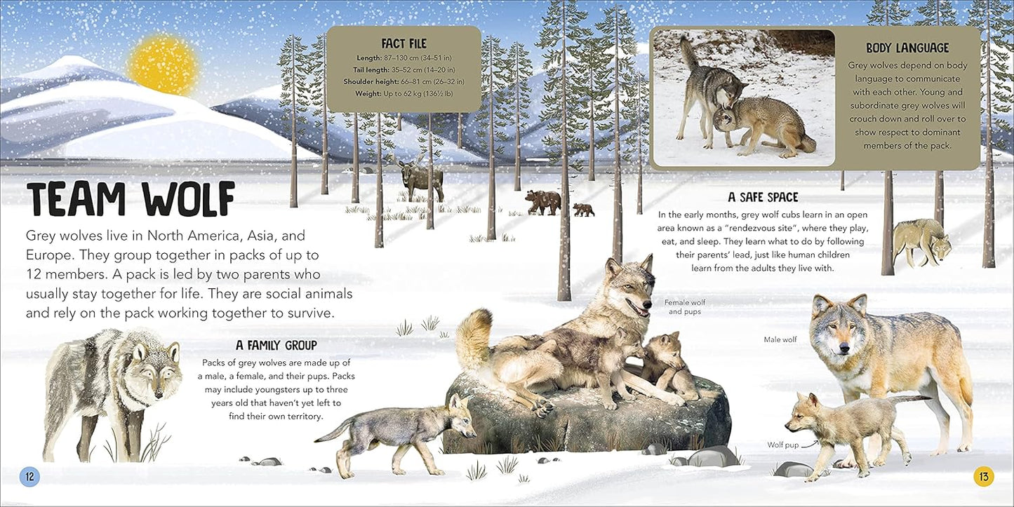 Animal Teams: How Amazing Animals Work Together in the Wild