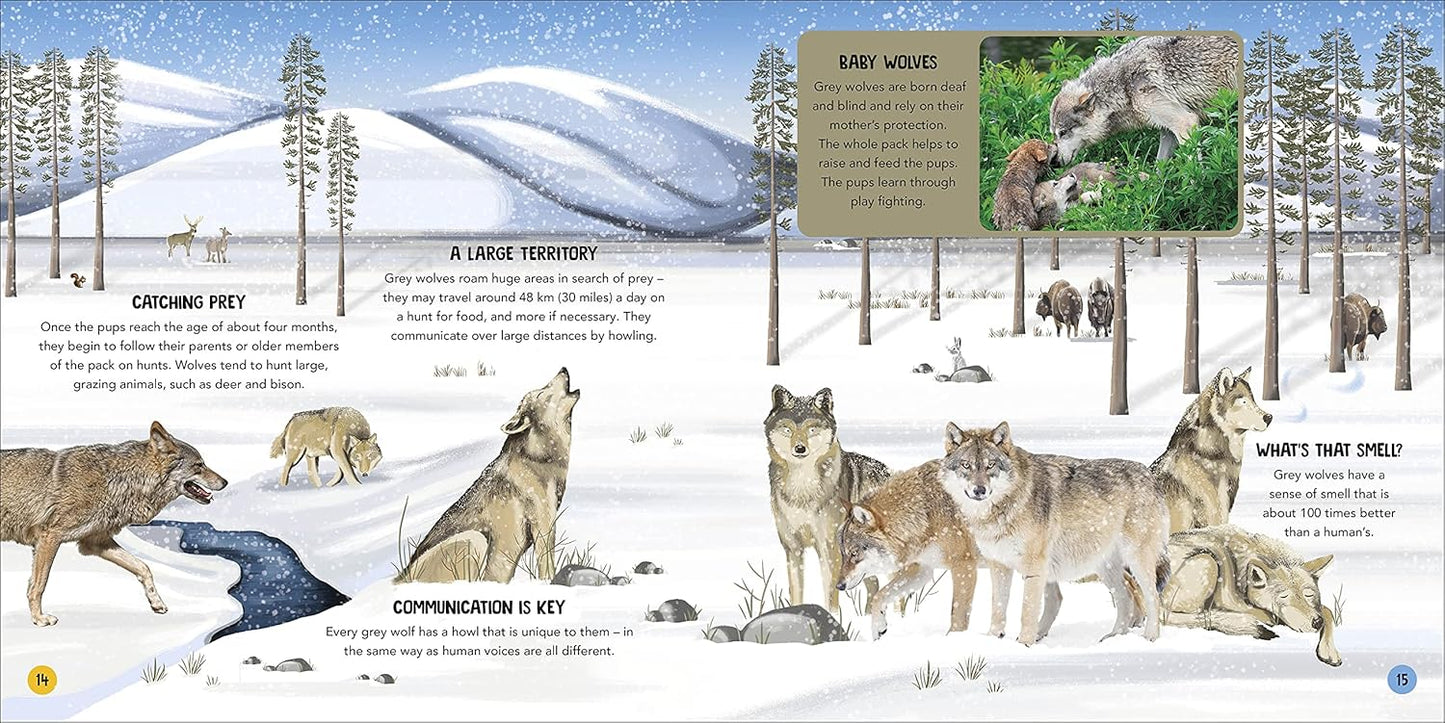 Animal Teams: How Amazing Animals Work Together in the Wild