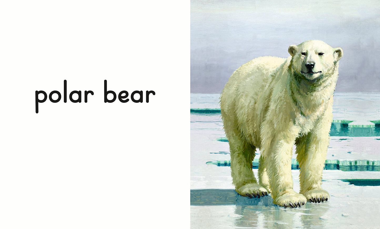 A Ladybird Book: Animals