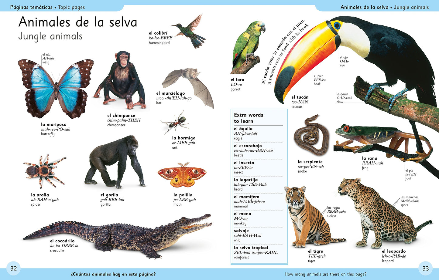 First Spanish Dictionary (DK First Reference)