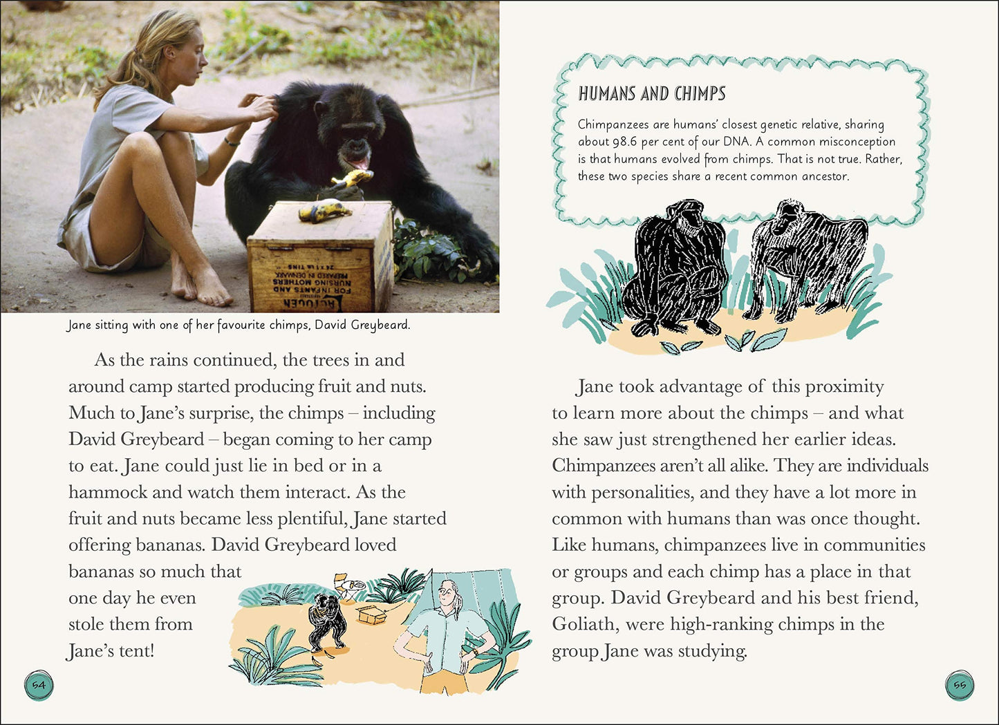 DK Life Stories: Jane Goodall