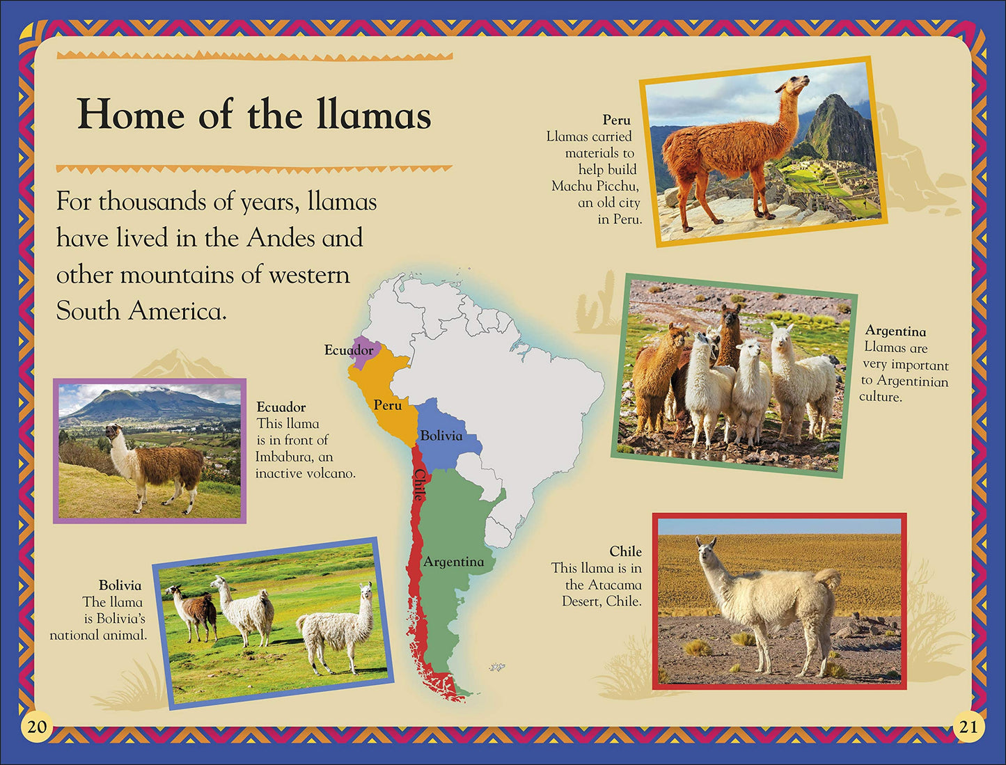 DK Readers Level 2: Llamas