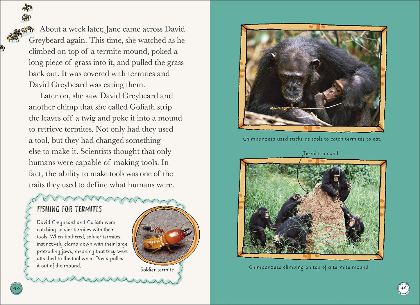 DK Life Stories: Jane Goodall
