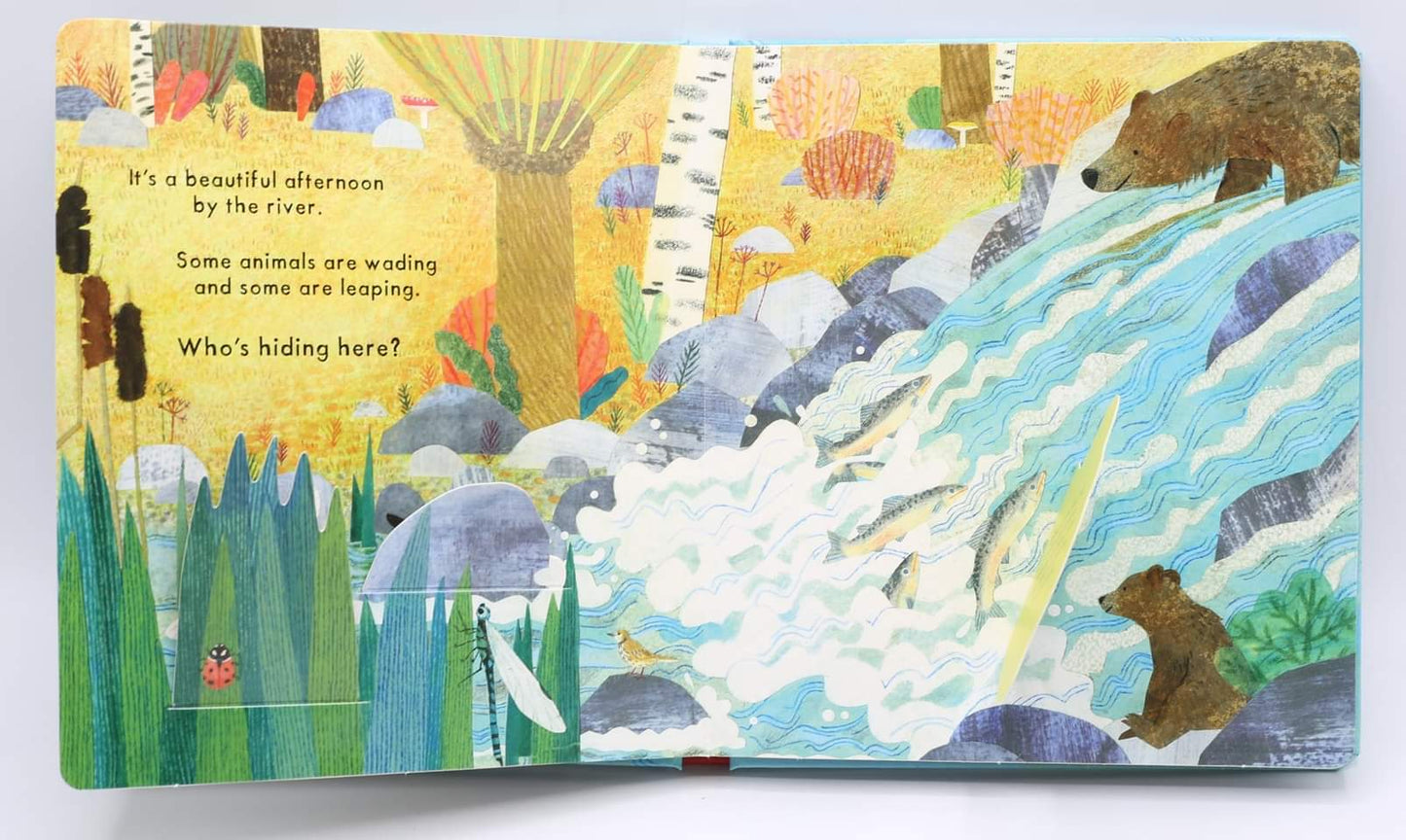 National Trust: Who’s Hiding on the River?
(Board book)