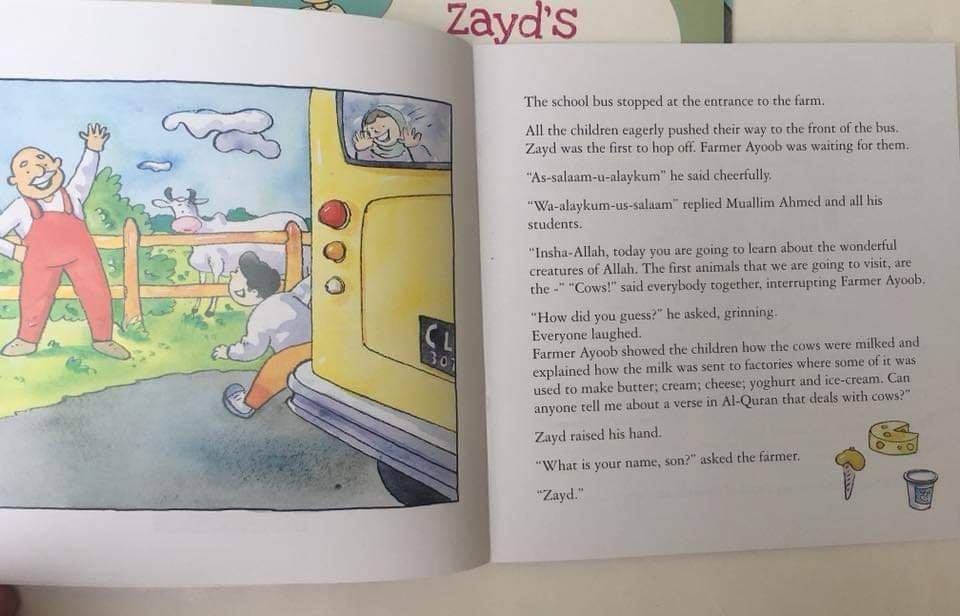 Zayd's curious little stories (pb)