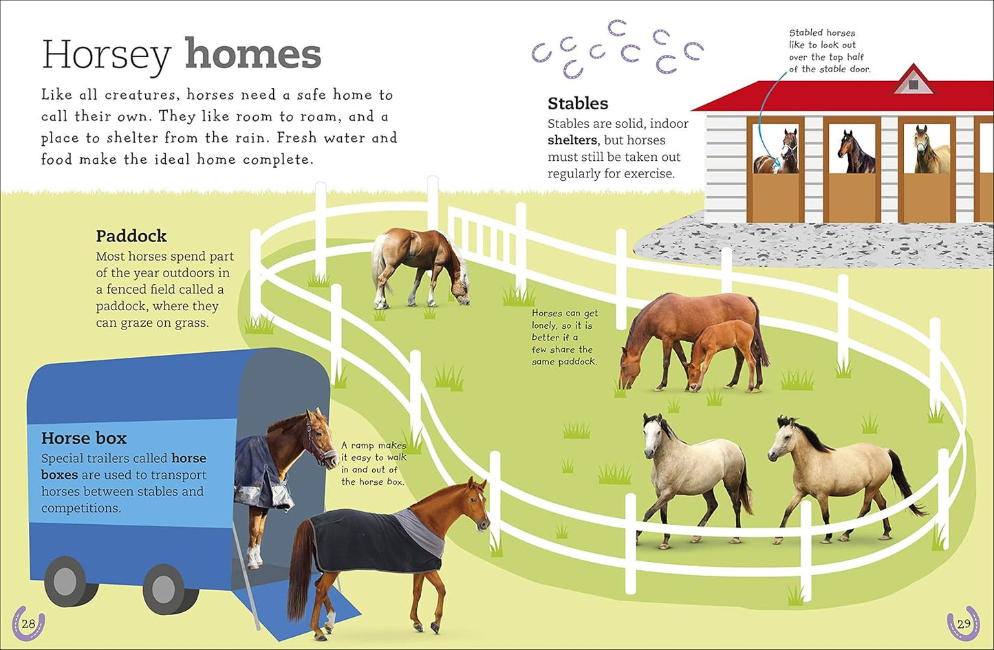 The Everything Book of Horses and Ponies (Everything About Pets)