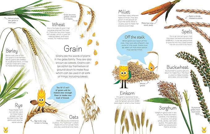 The Best Ever Bread Book: From Farm to Flour Mill, 20 Recipes from Around the World