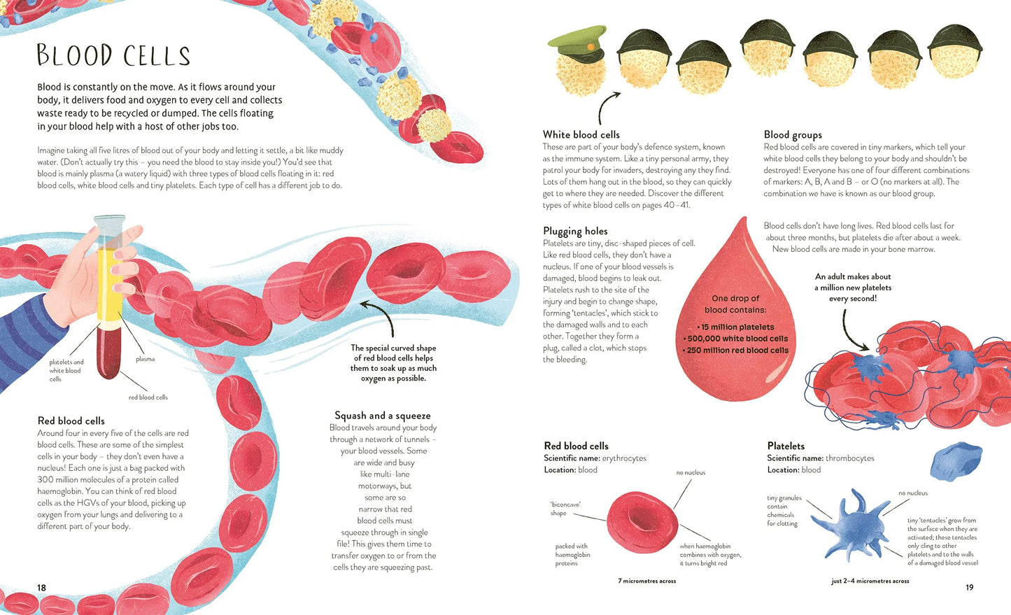 Thirty Trillion Cells