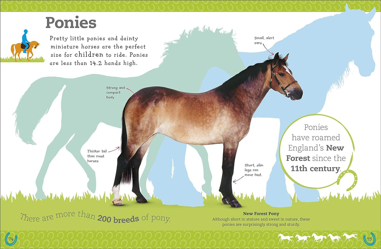 The Everything Book of Horses and Ponies (Everything About Pets)