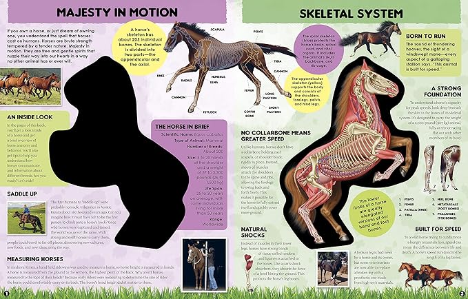 Inside Out Horse: The Inside Story on the Animal That's Born to Run!