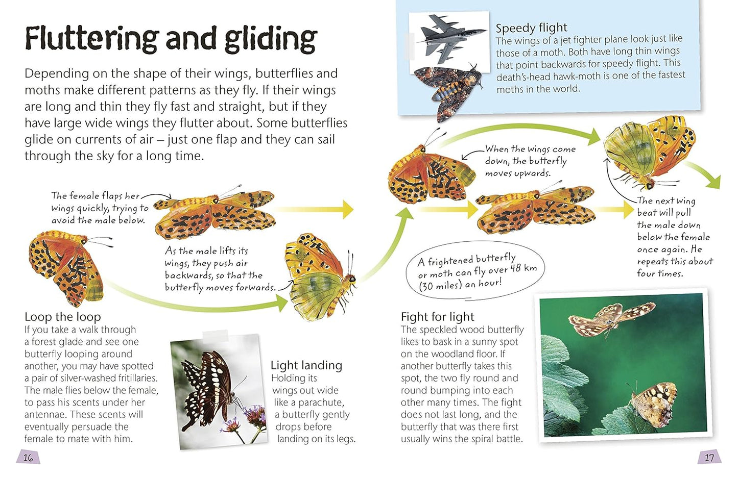 Butterflies and Moths: Explore Nature with Fun Facts and Activities (Nature Explorers)