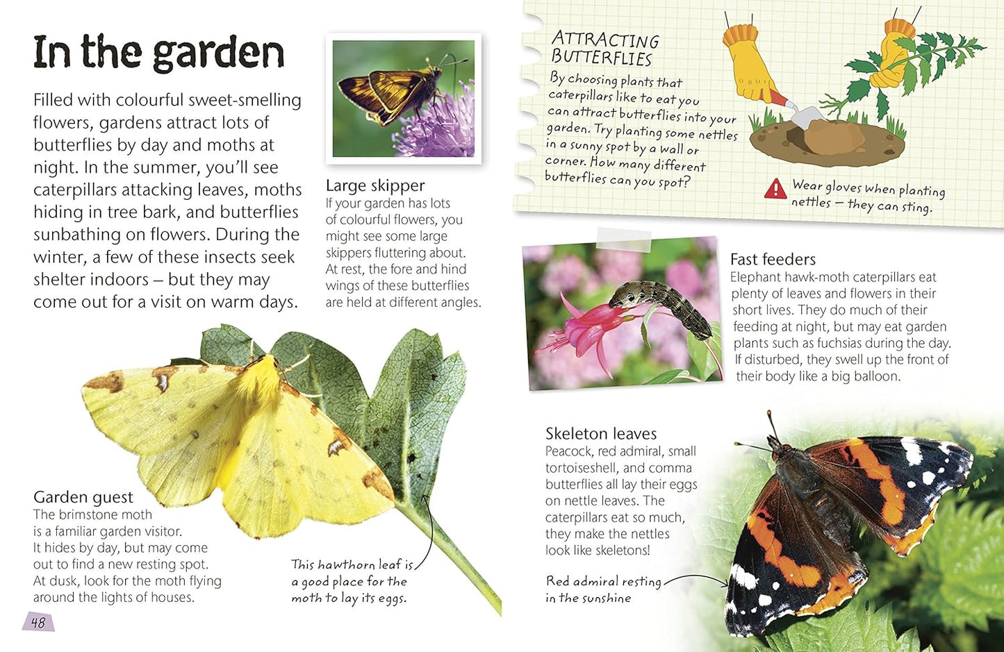 Butterflies and Moths: Explore Nature with Fun Facts and Activities (Nature Explorers)