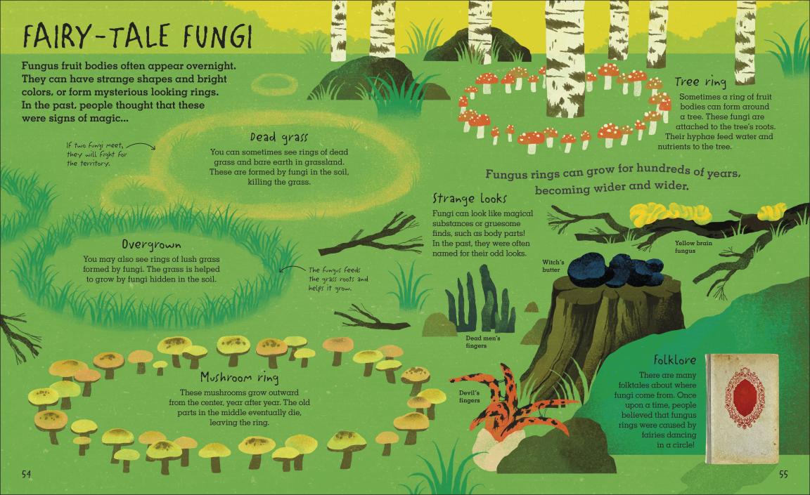 Humongous Fungus