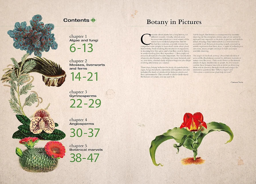 Illustrated Botany: The Virtual Plant Museum