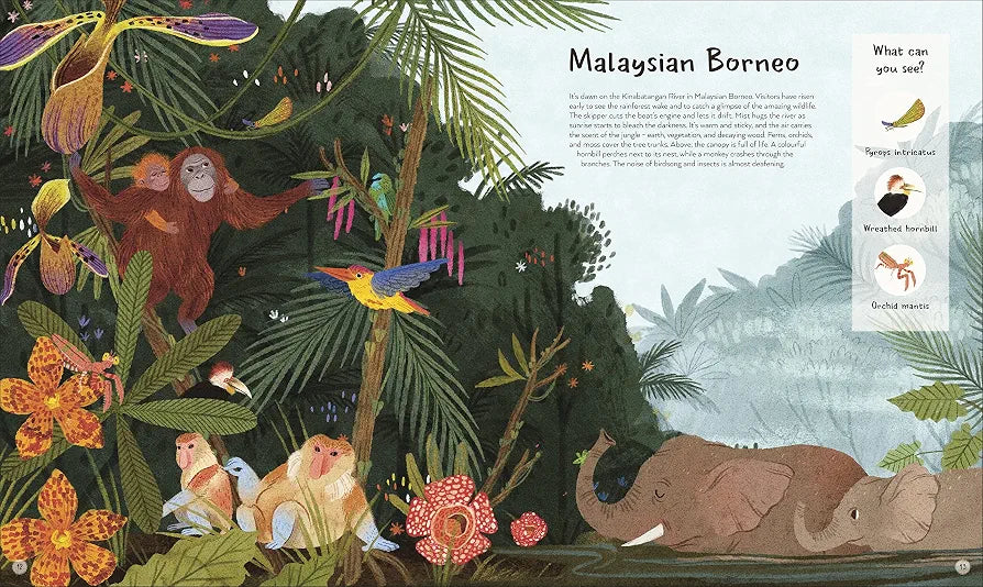 The World's Wildest Places: And the People Protecting Them