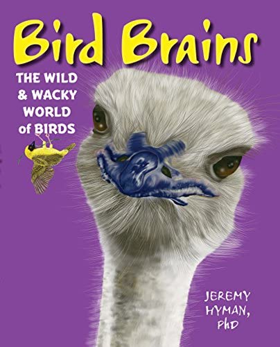 Bird Brains: The Wild & Wacky World of Birds