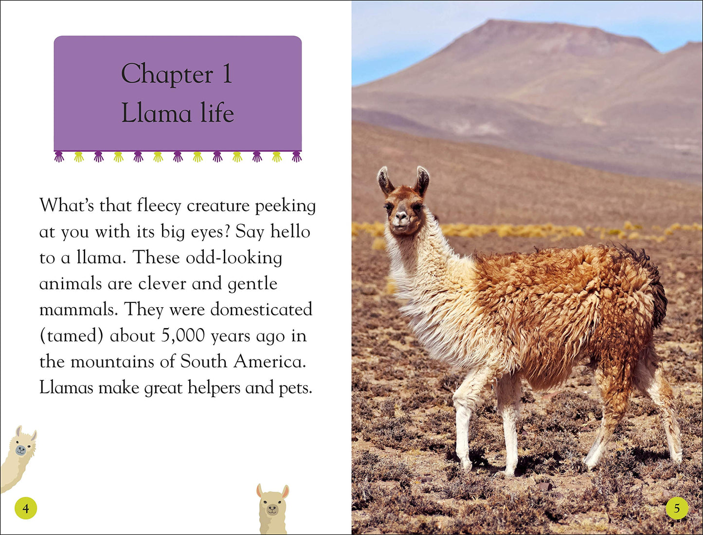 DK Readers Level 2: Llamas