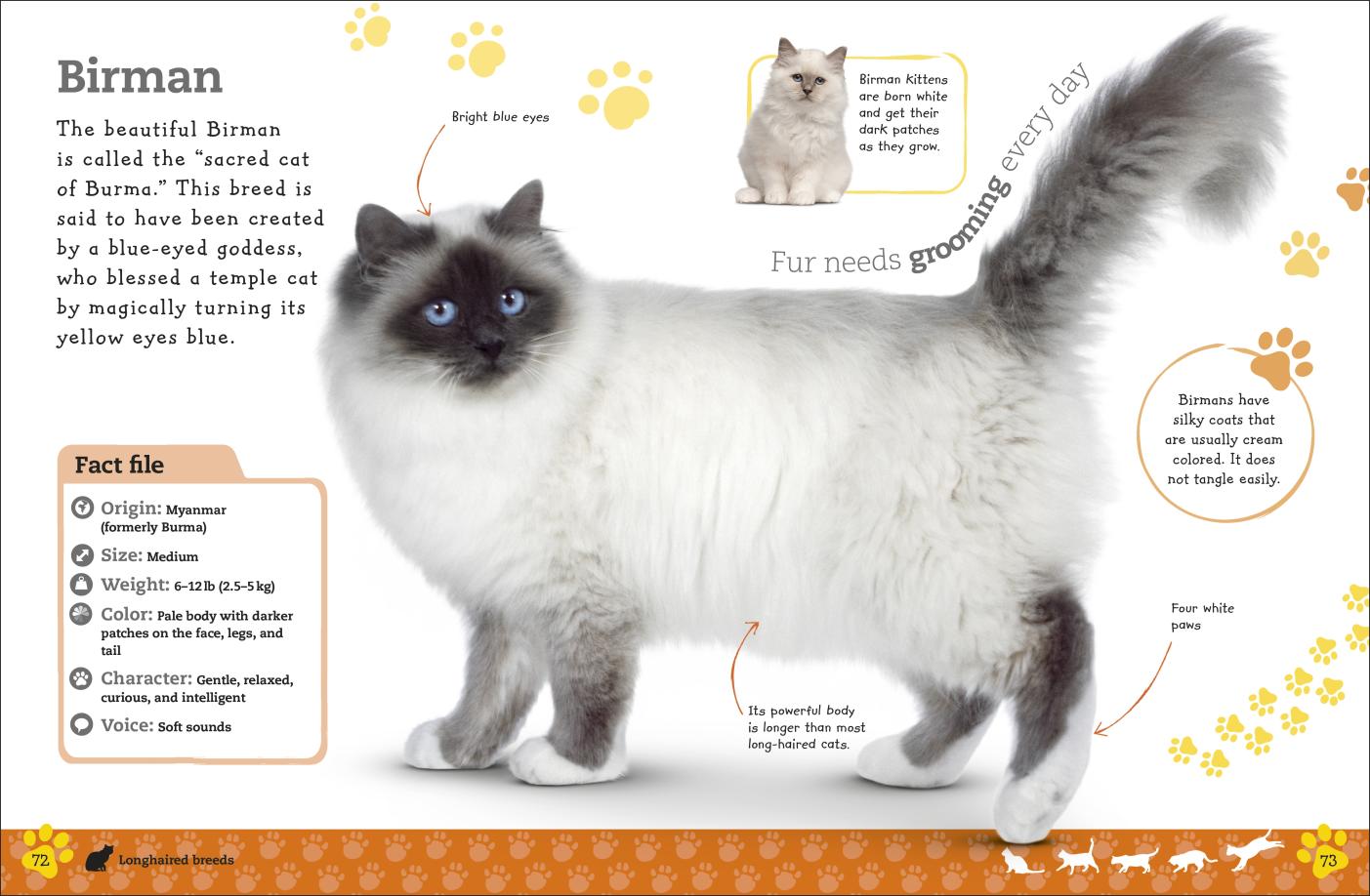 The Everything Book of Cats and Kittens (Everything About Pets)