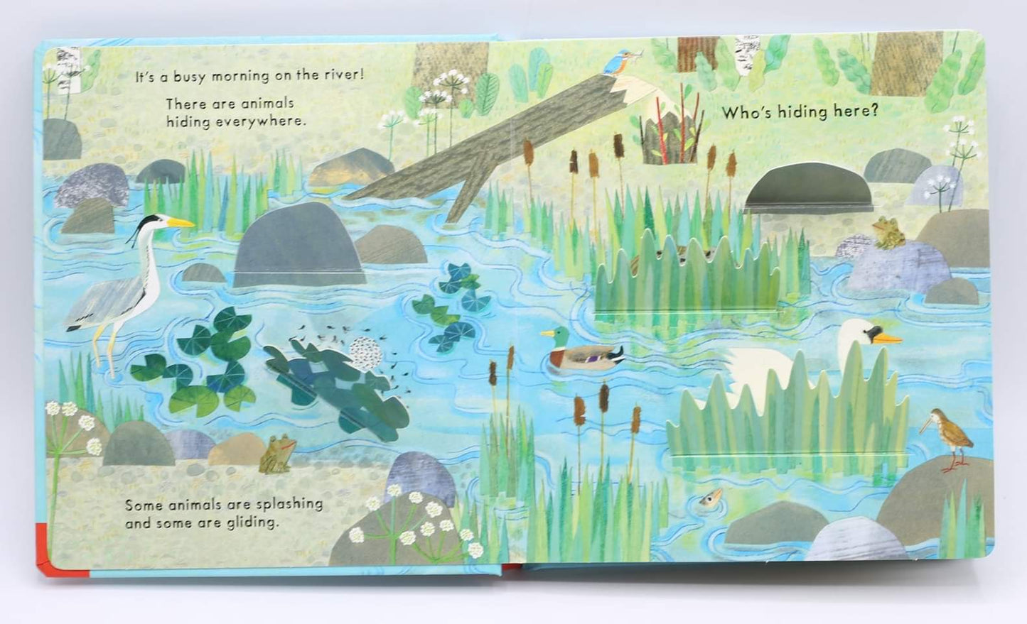National Trust: Who’s Hiding on the River?

 (Board book)